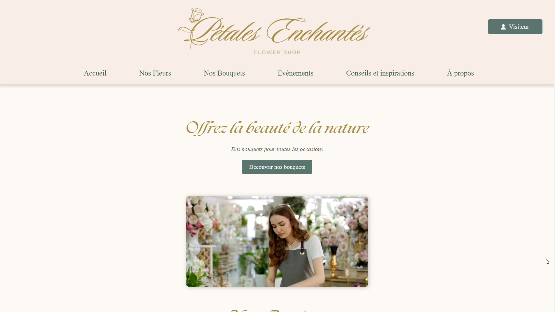 Projet 1